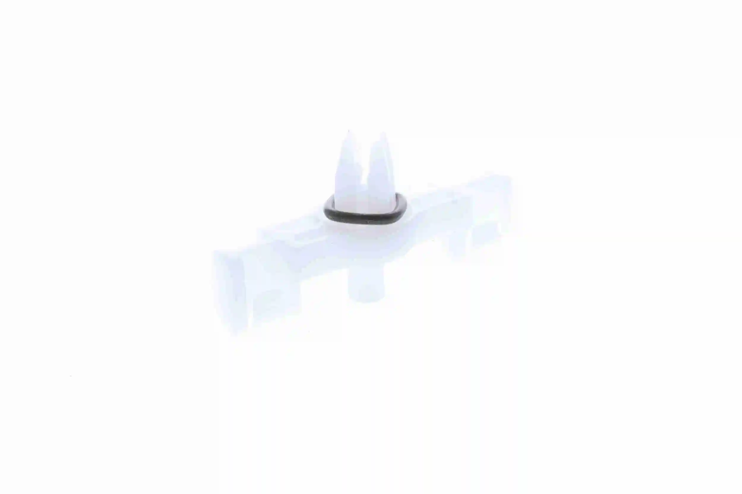 Clip, trim/protection strip