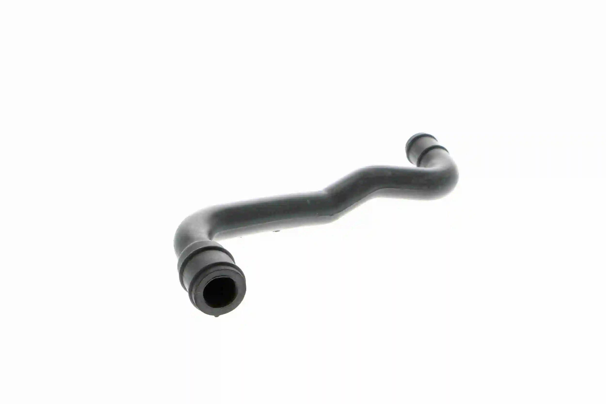 Hose, cylinder head cover ventilation
