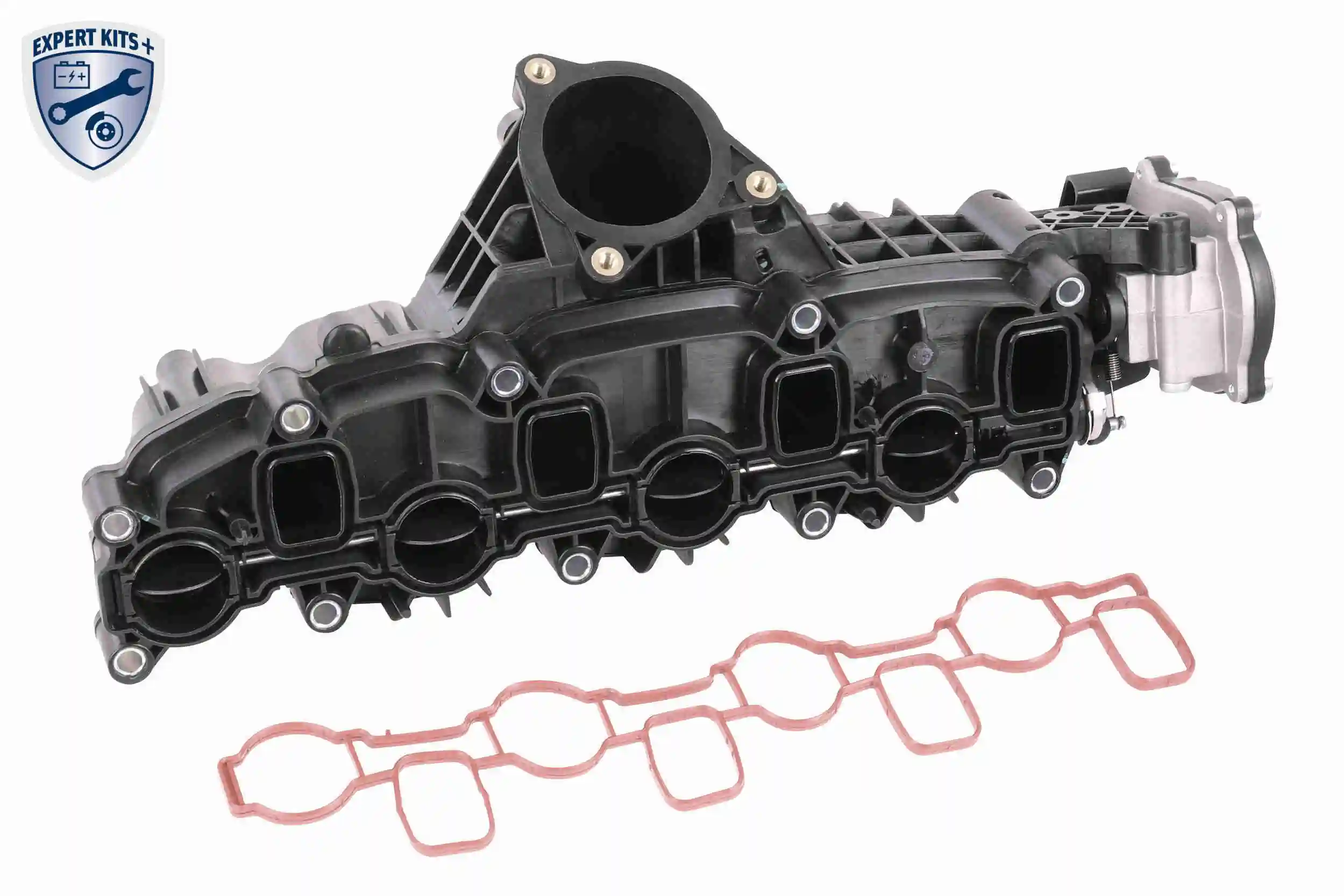 Intake Manifold Module