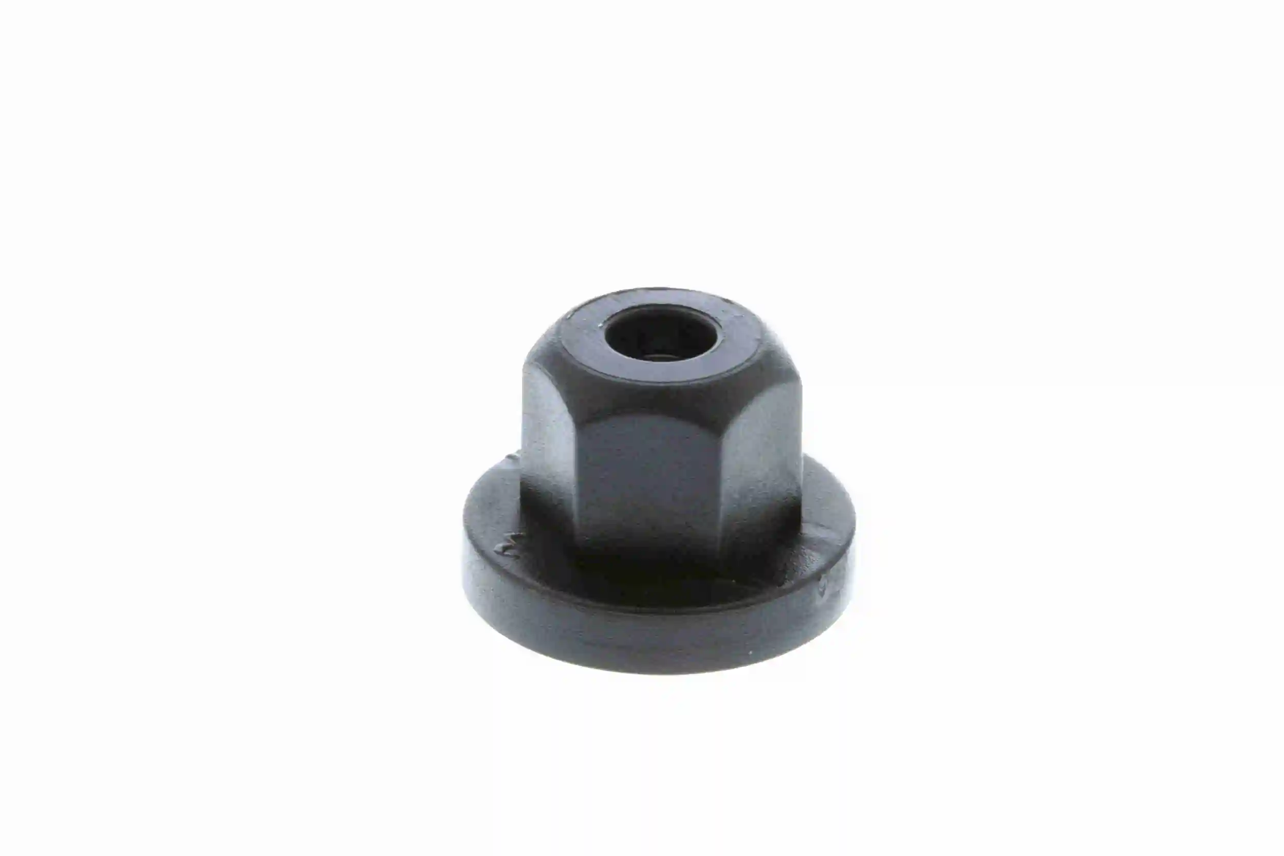 Clip, trim/protection strip