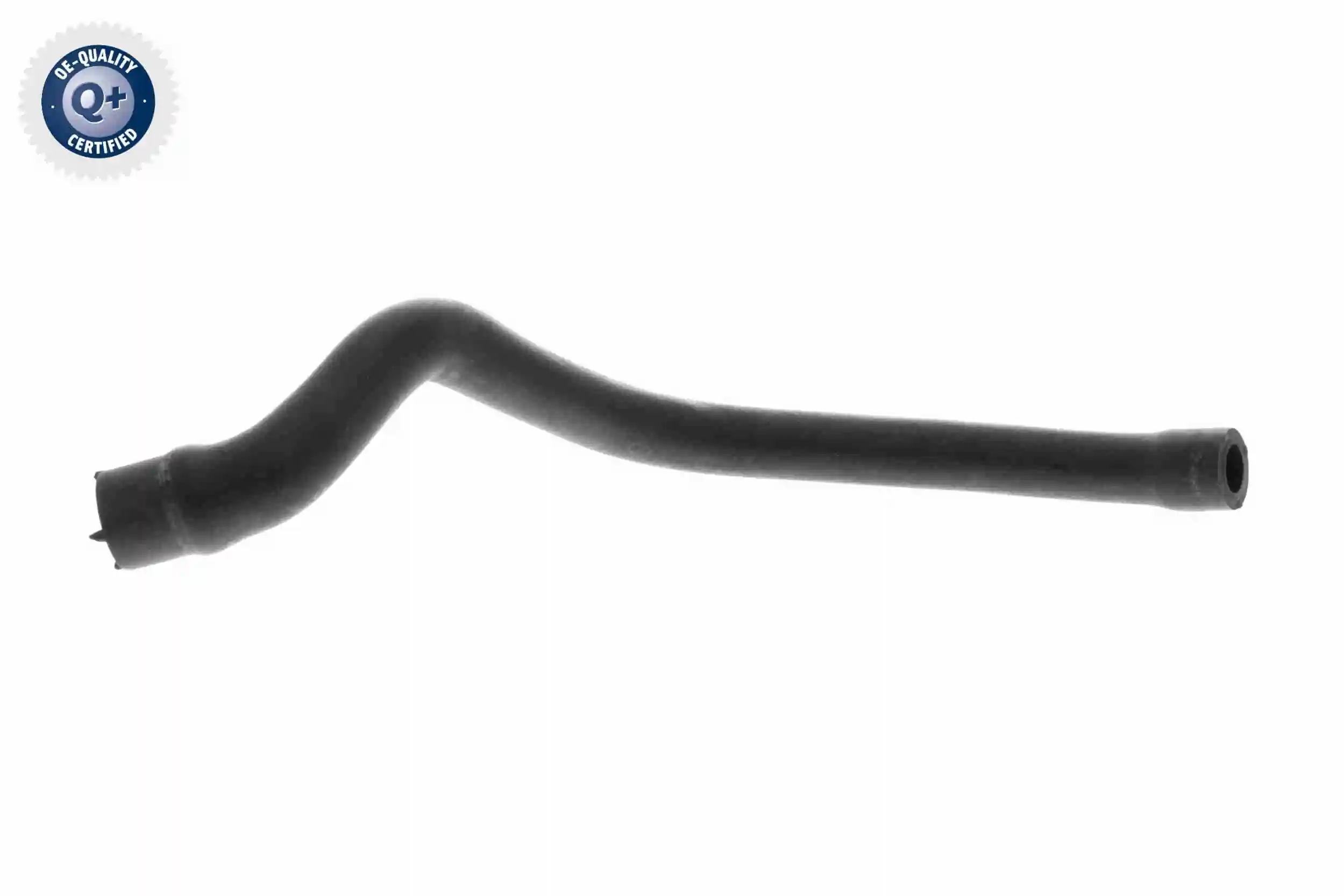 Hose, cylinder head cover ventilation
