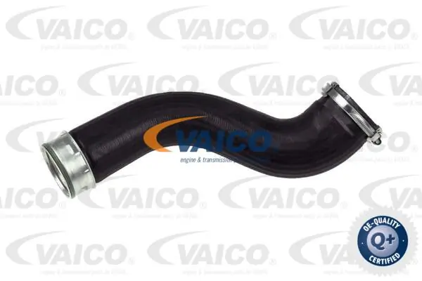 Charge Air Hose
