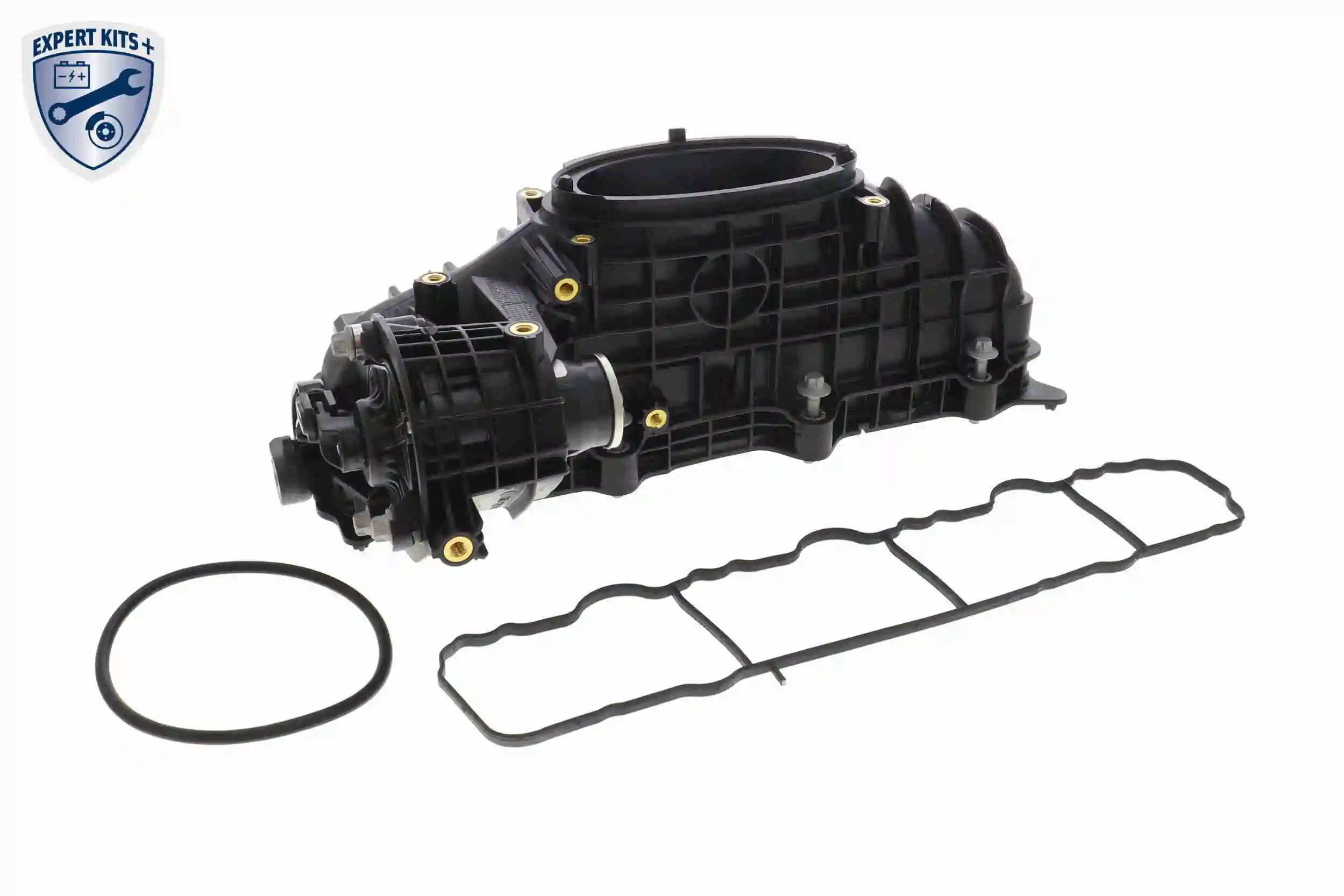 Intake Manifold Module