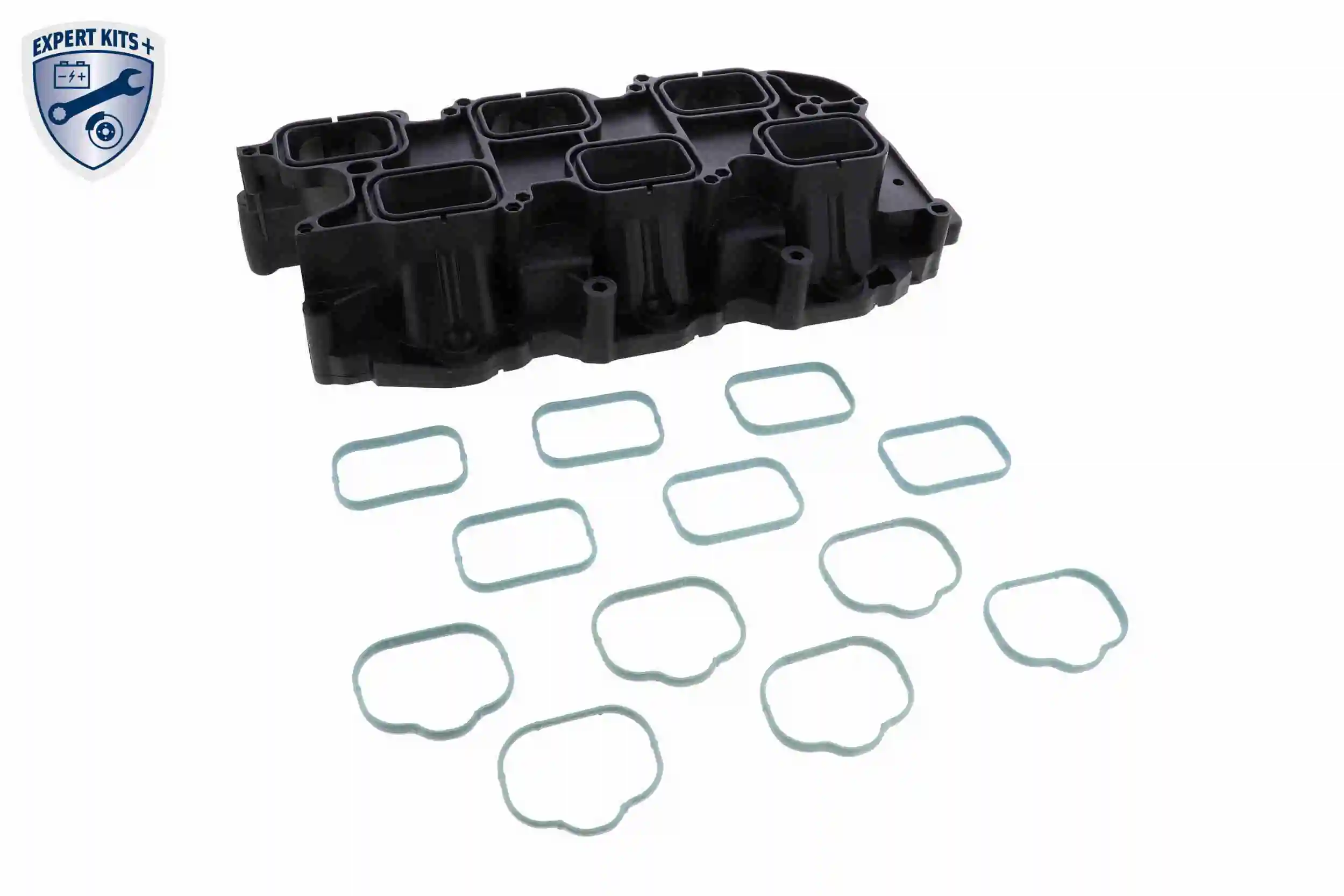 Intake Manifold Module