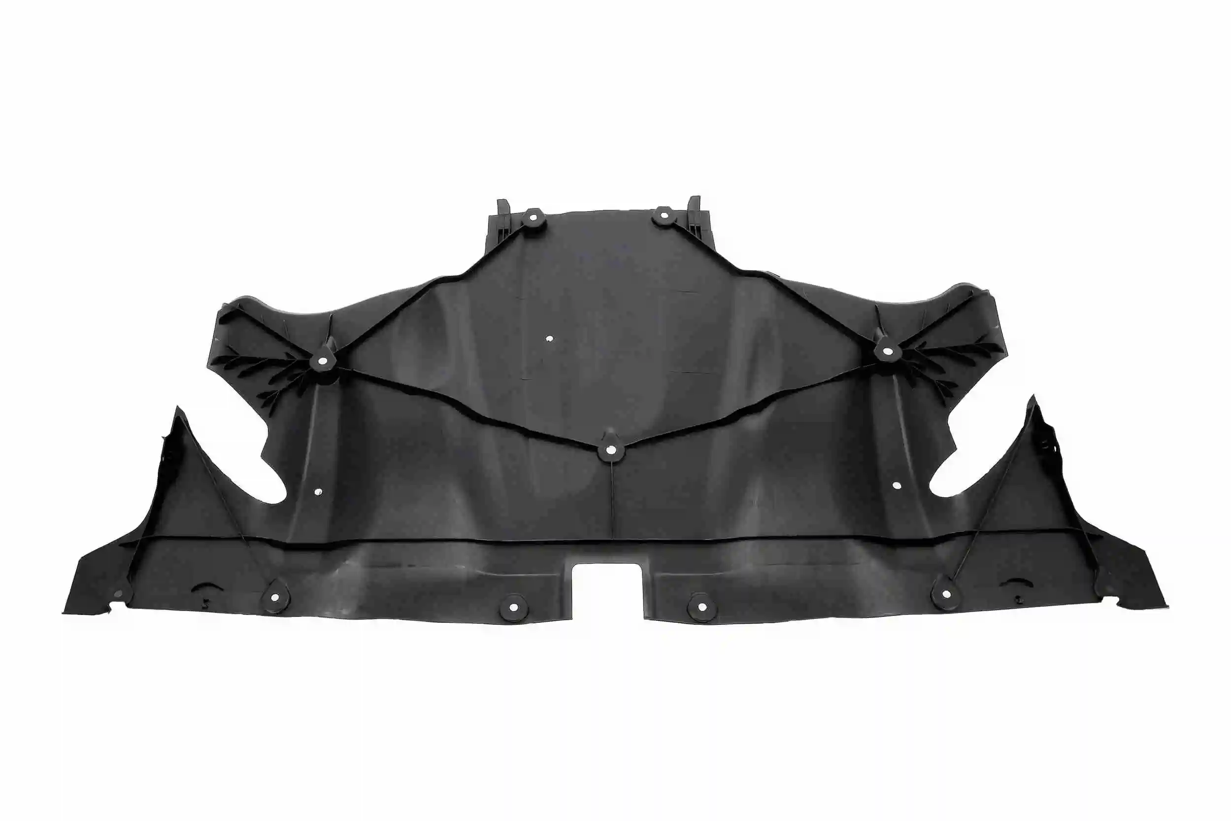 Engine Guard/Skid Plate
