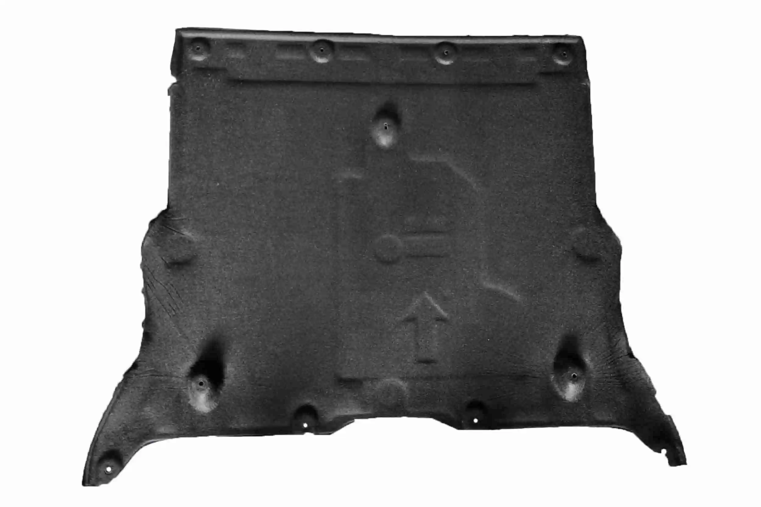 Engine Guard/Skid Plate