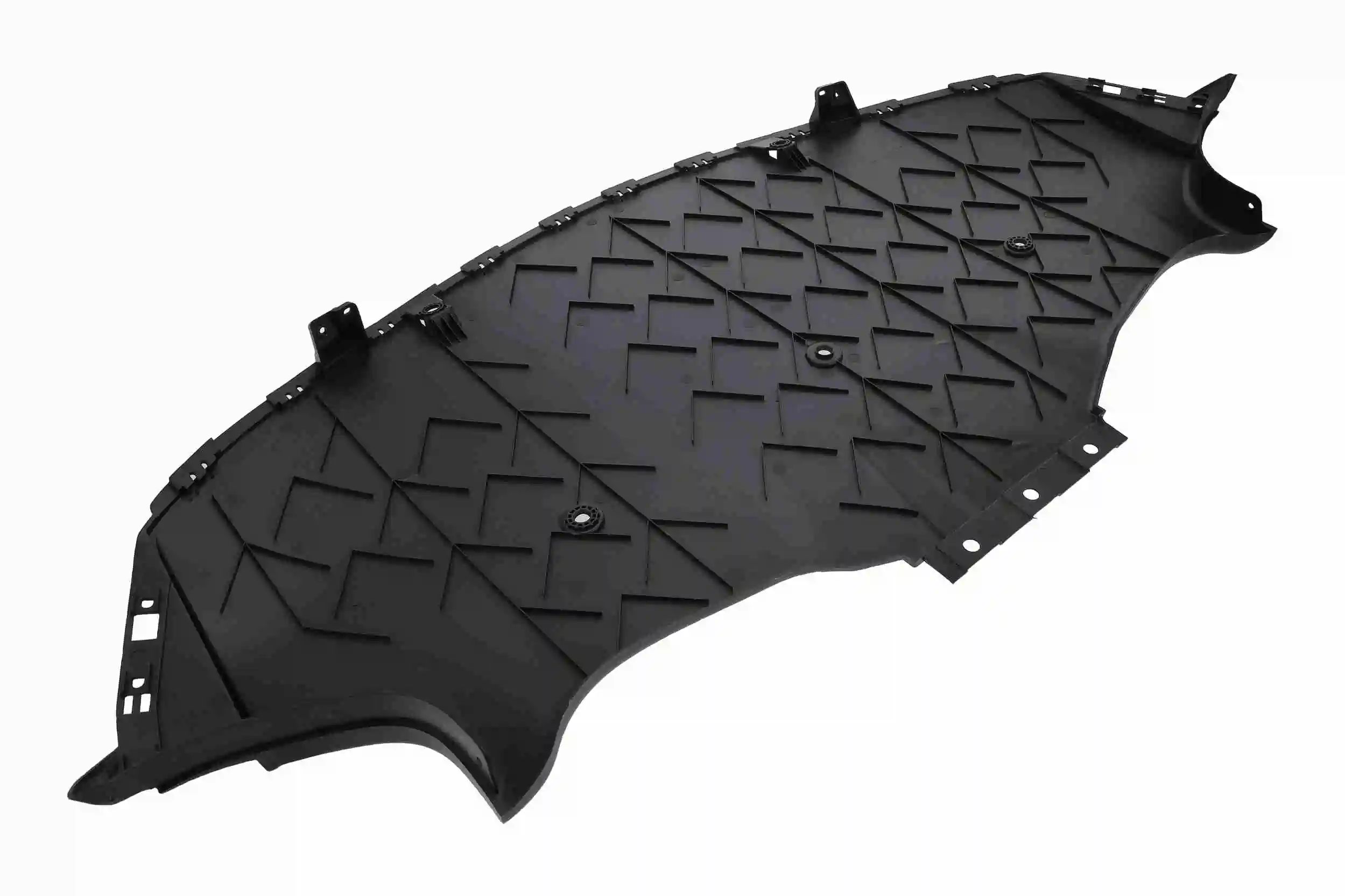 Engine Guard/Skid Plate