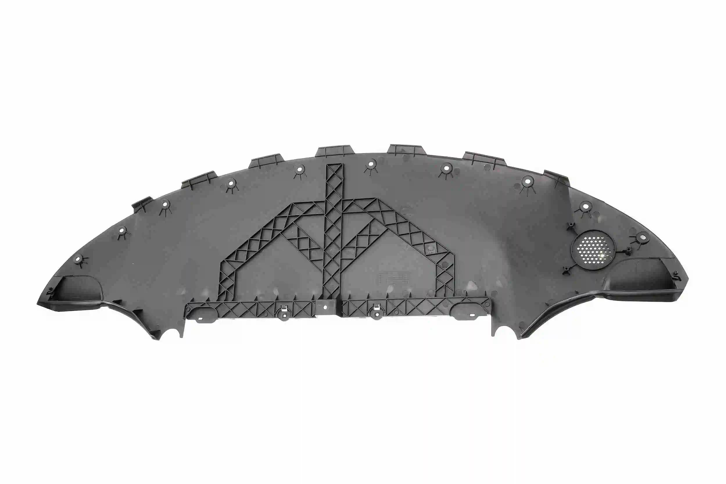 Engine Guard/Skid Plate