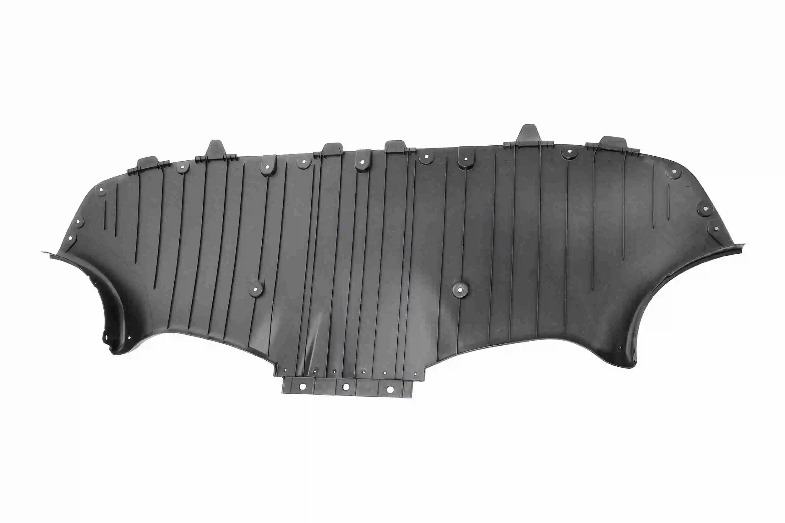 Engine Guard/Skid Plate