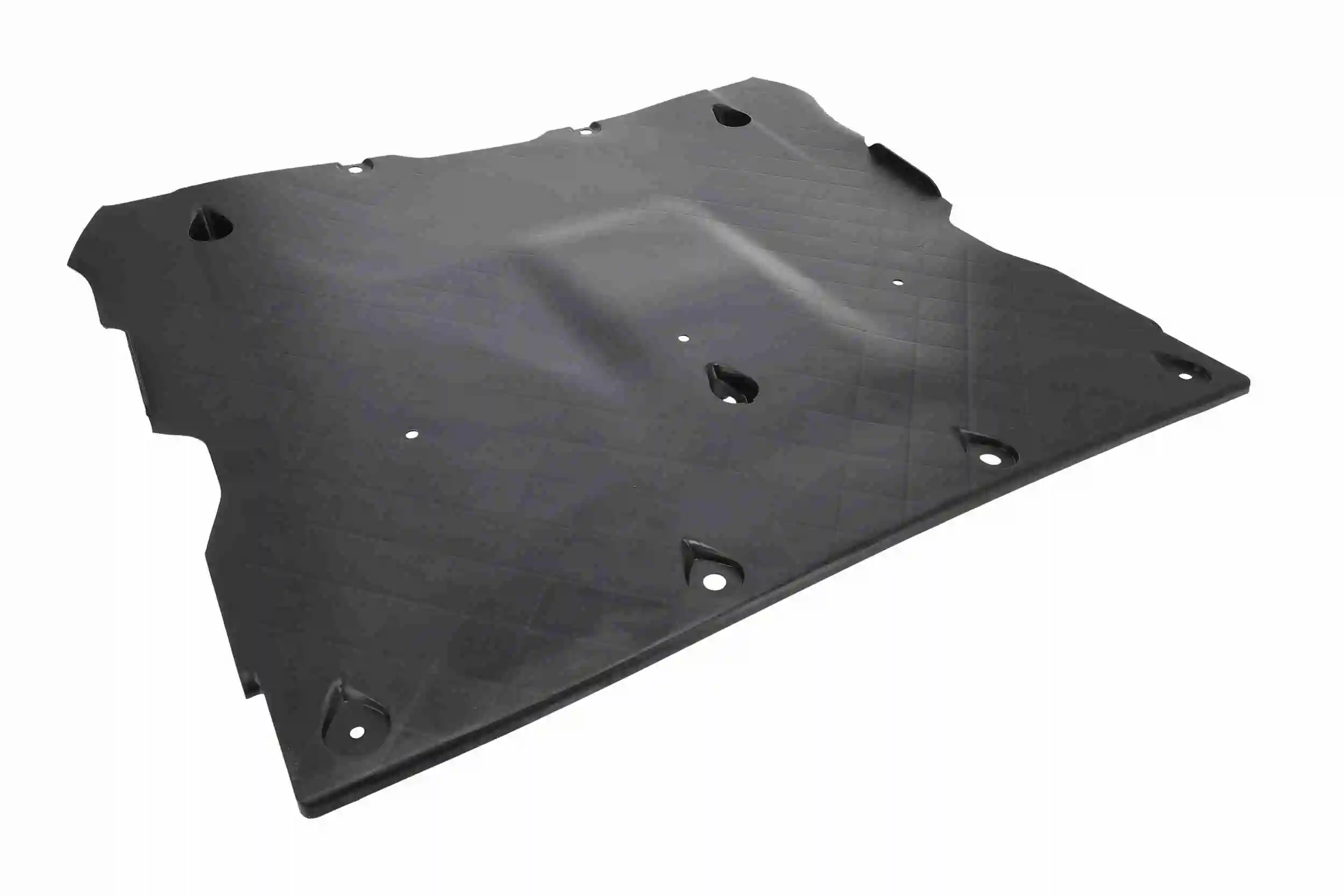 Engine Guard/Skid Plate