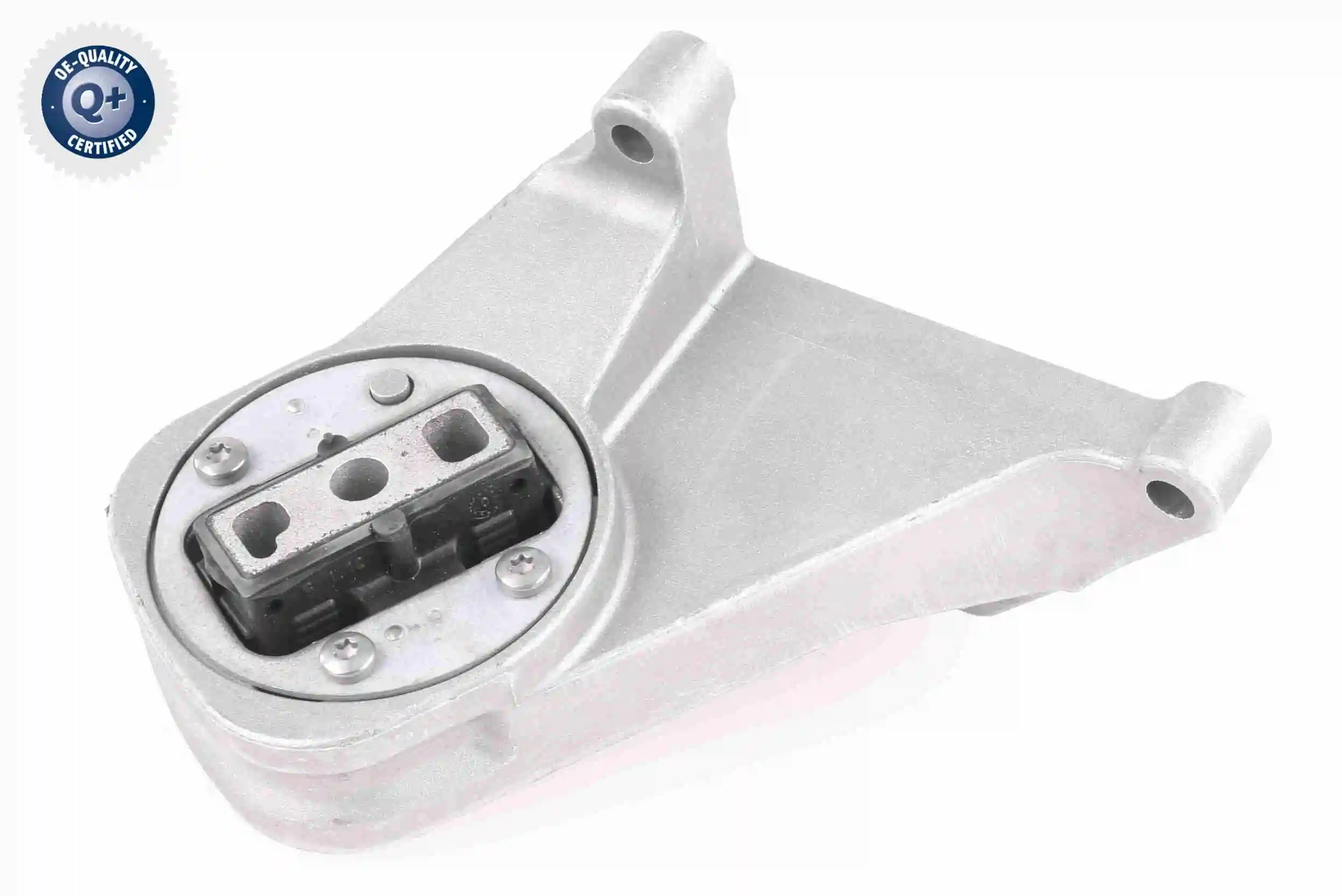 Holder, engine mounting system