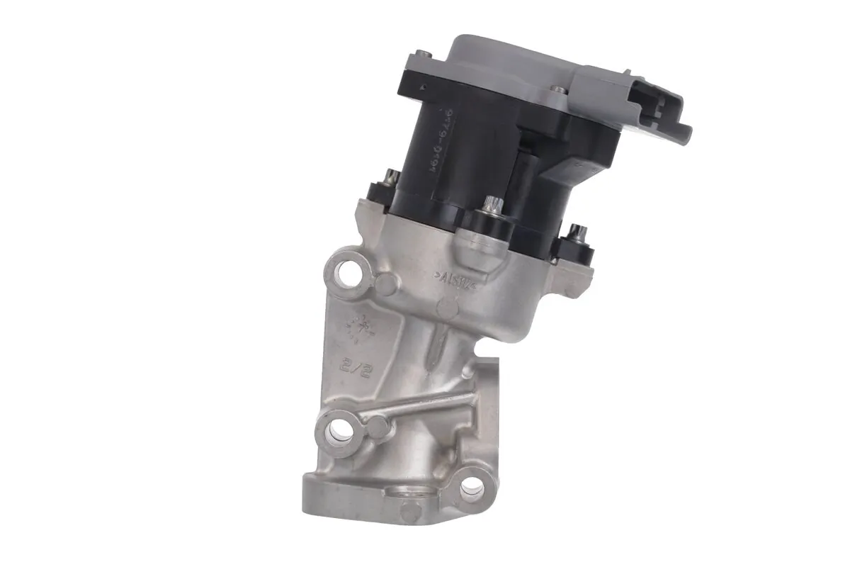 EGR Valve