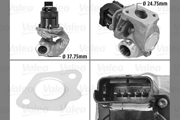 EGR Valve
