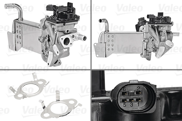 EGR Module