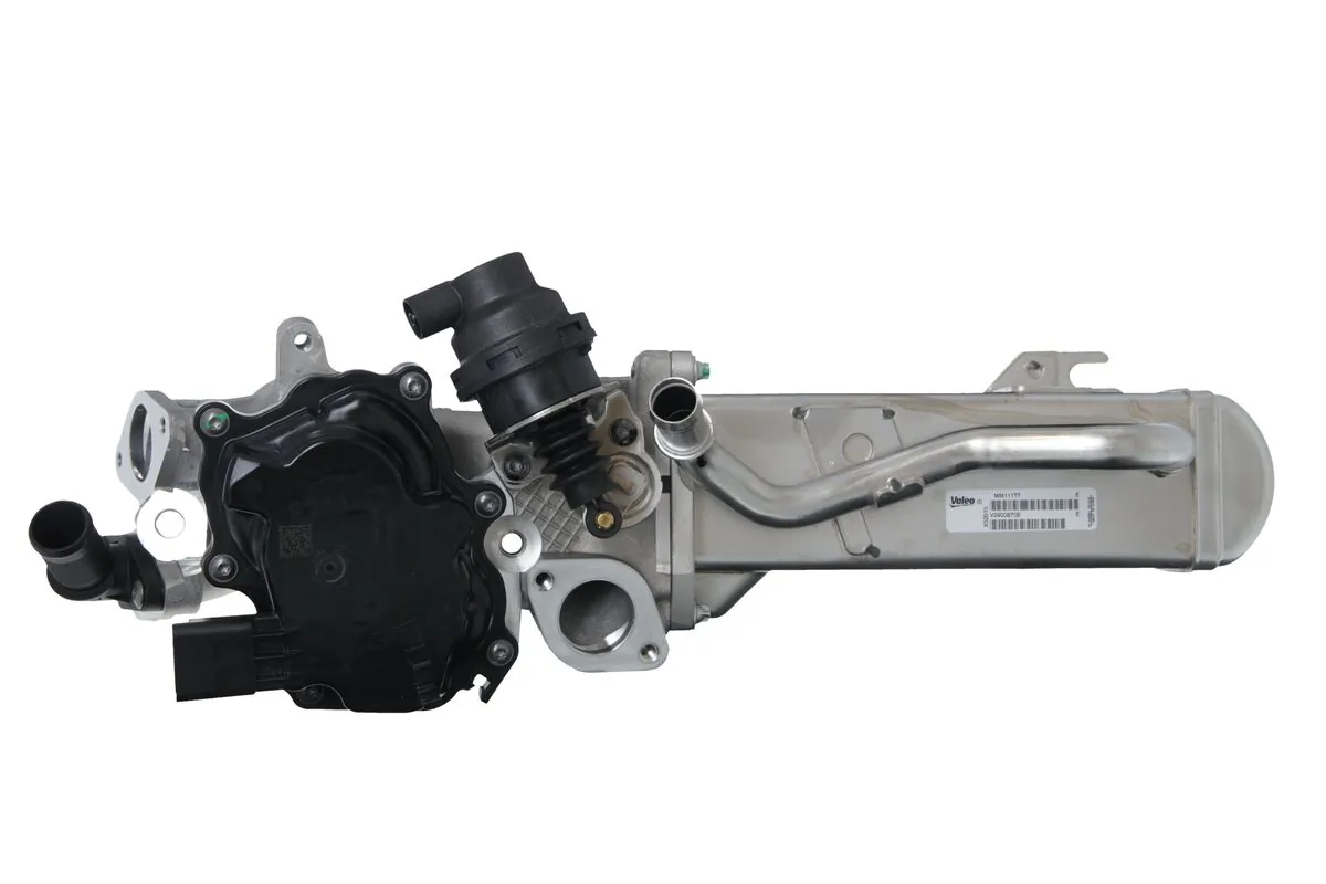 EGR Module