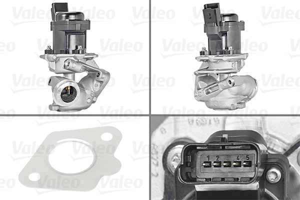 EGR Valve