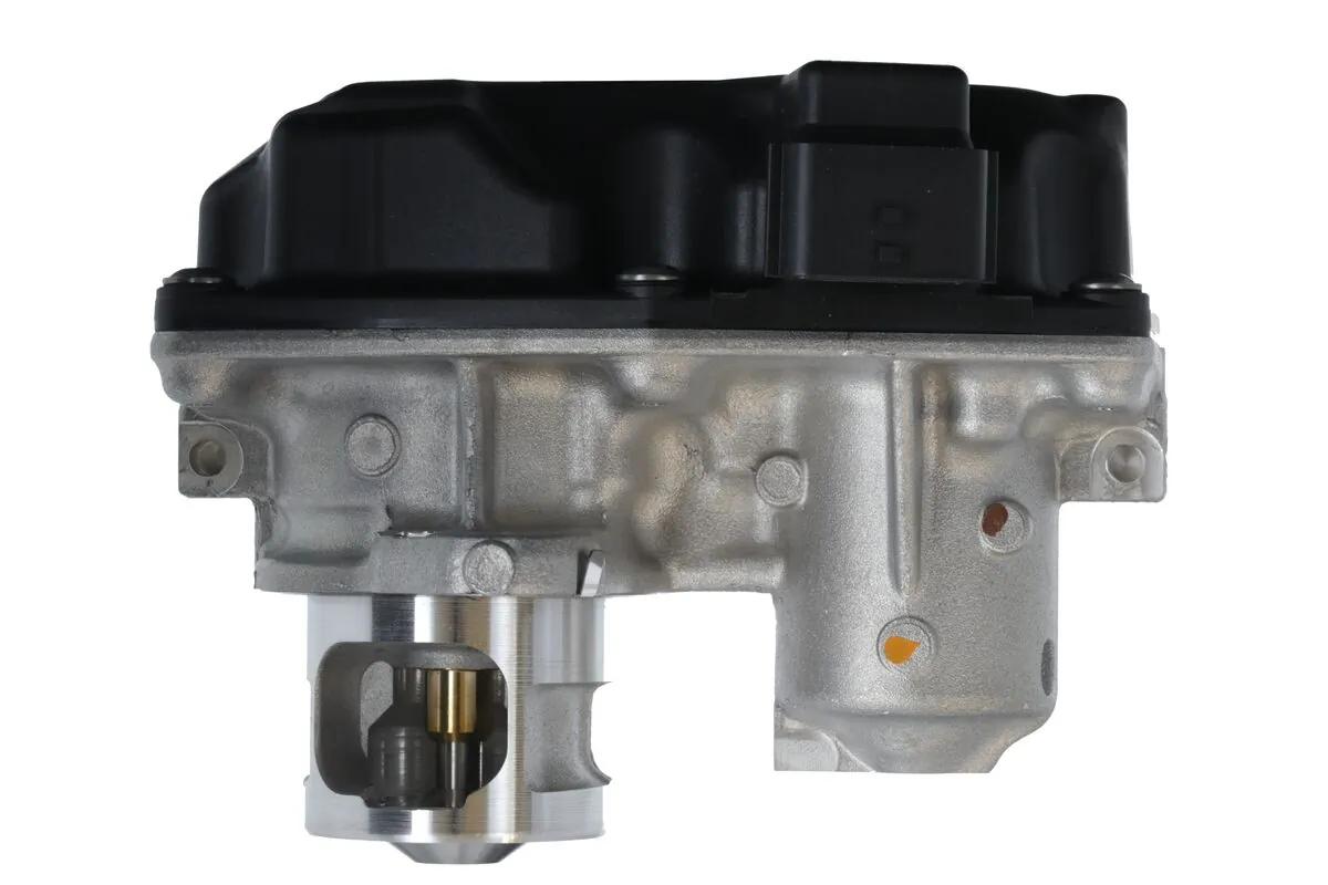 EGR Valve
