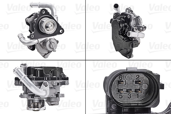 EGR Valve