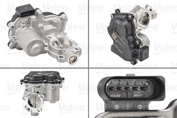 EGR Valve