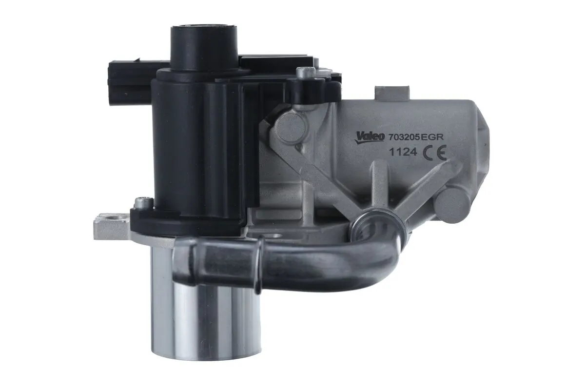 EGR Valve