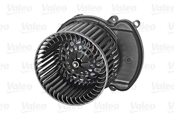 Interior Blower