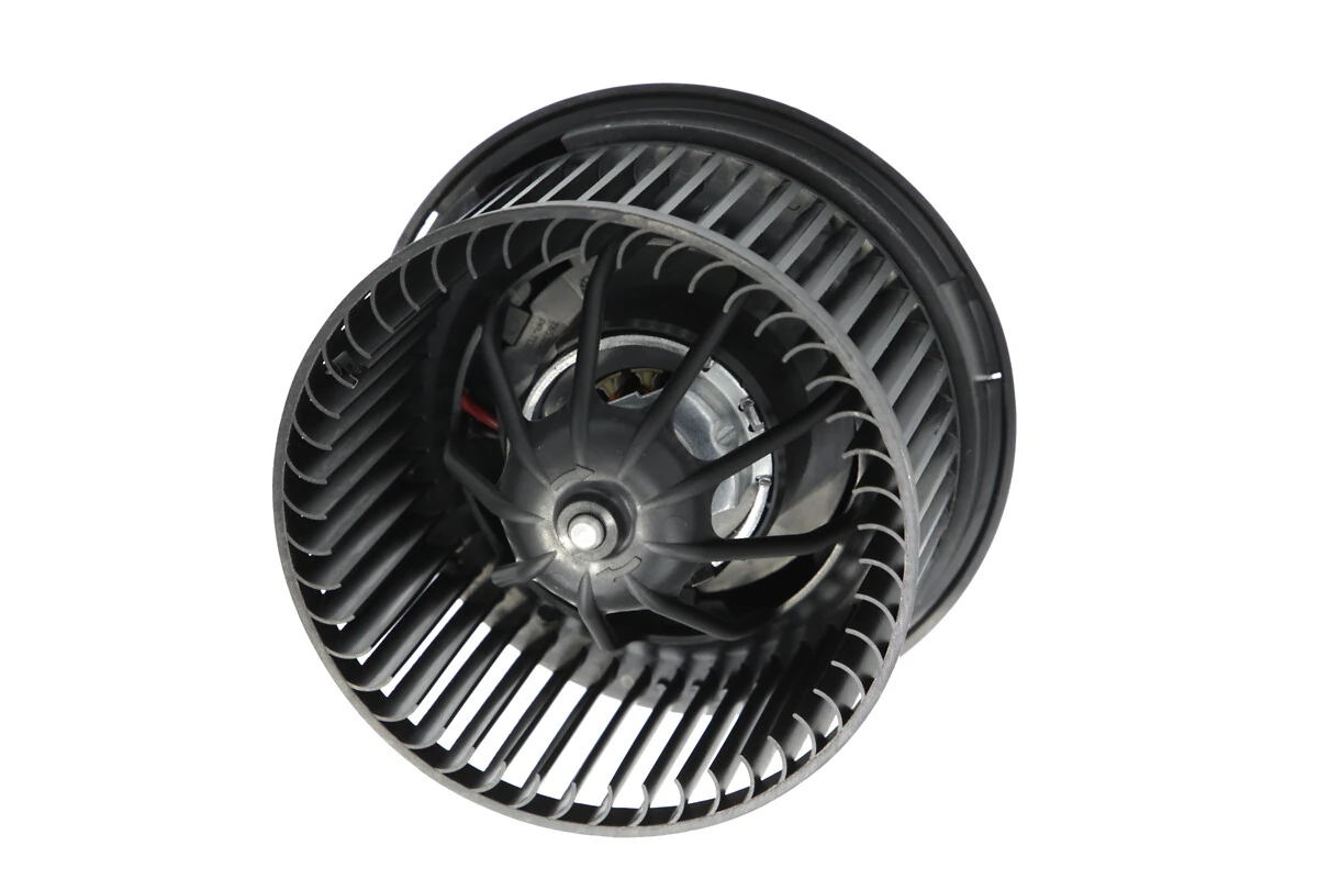 Interior Blower