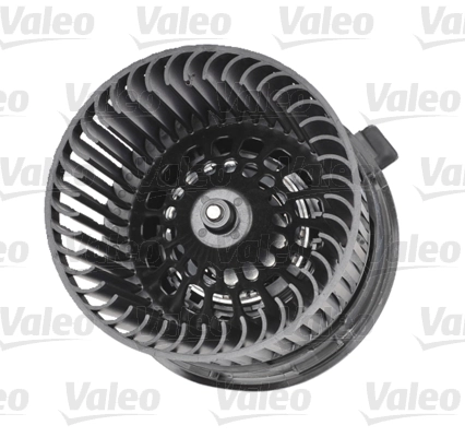 Interior Blower