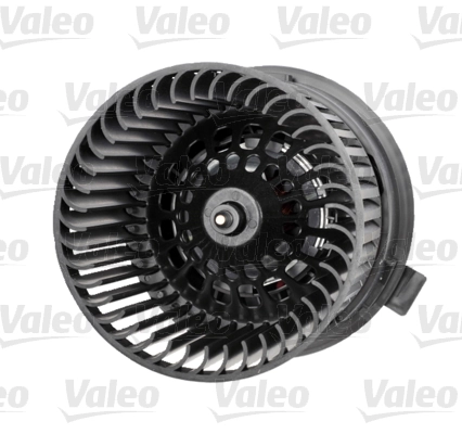 Interior Blower