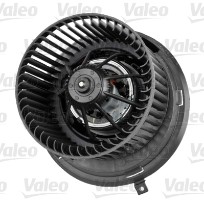 Interior Blower