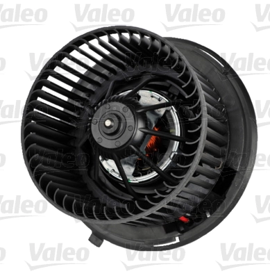 Interior Blower