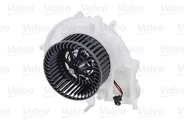 Interior Blower