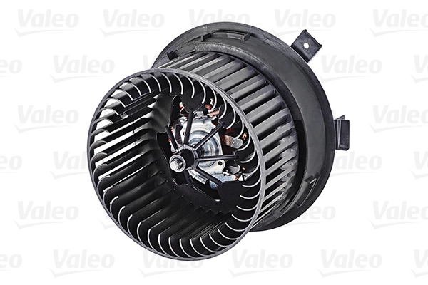 Interior Blower