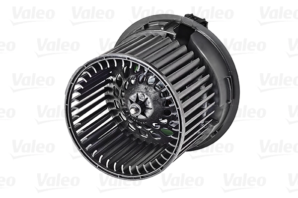 Interior Blower