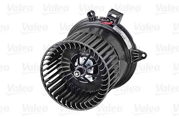 Interior Blower