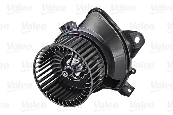 Interior Blower