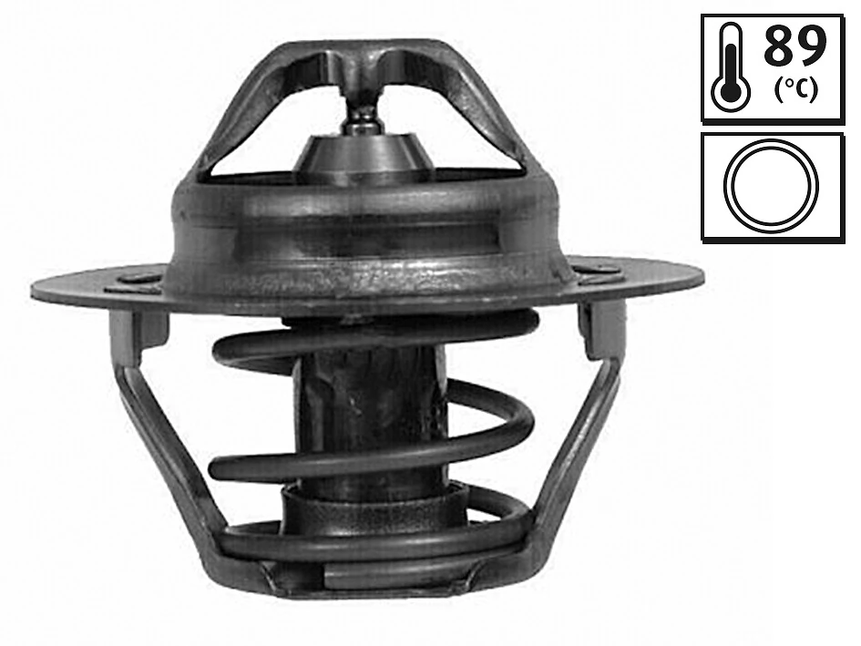 Thermostat, coolant