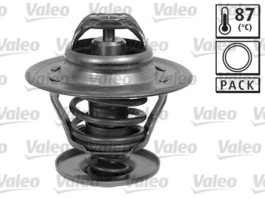 Thermostat, coolant