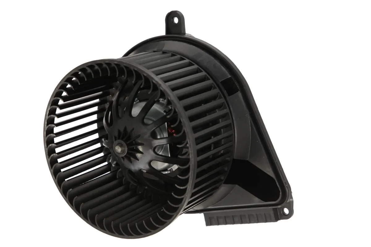 Interior Blower