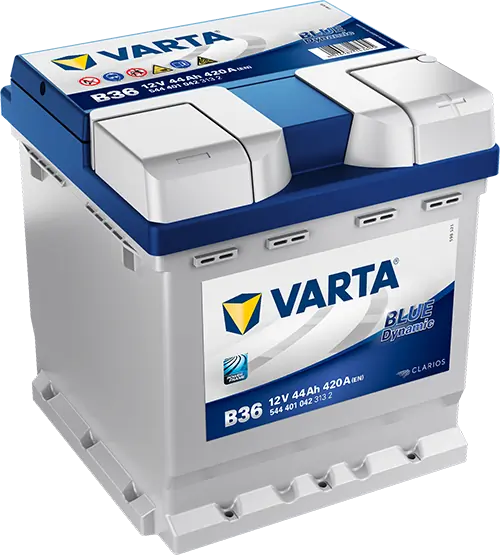 Starter Battery