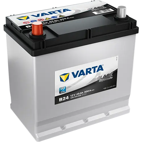 Starter Battery