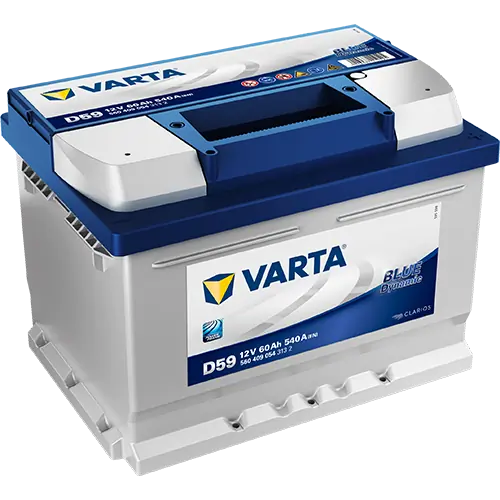 Starter Battery