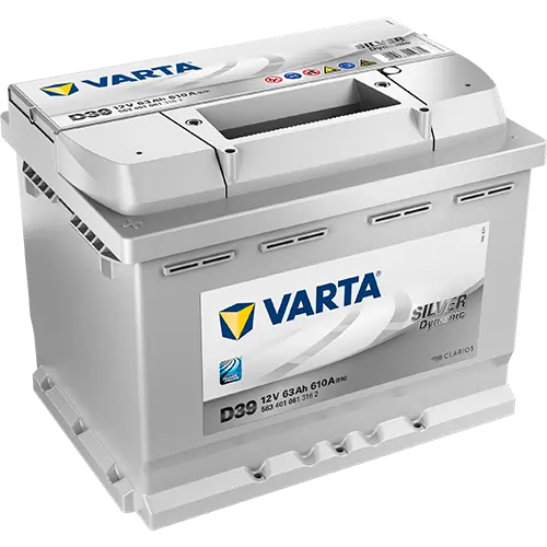 Starter Battery