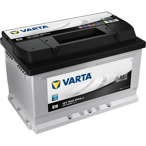 Starter Battery