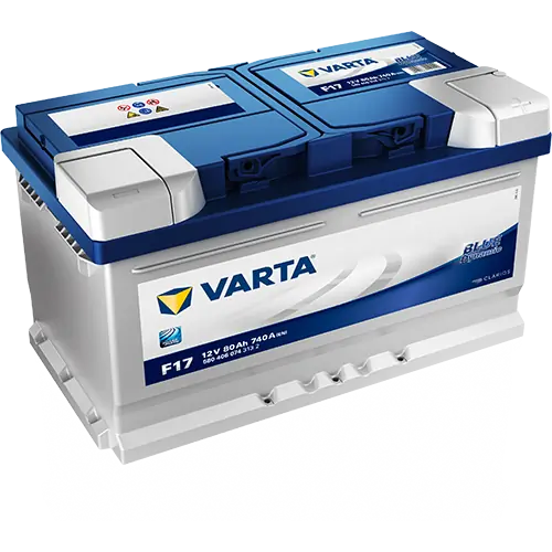 Starter Battery