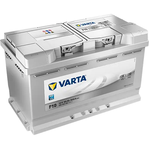 Starter Battery