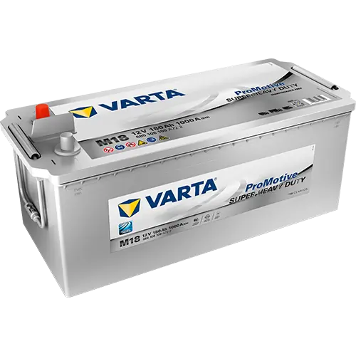 Starter Battery