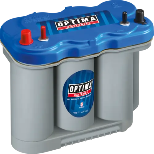 Starter Battery