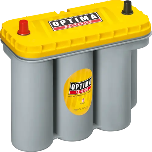 Starter Battery