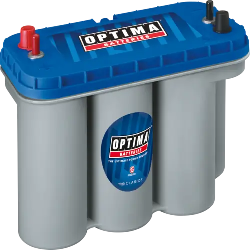 Starter Battery