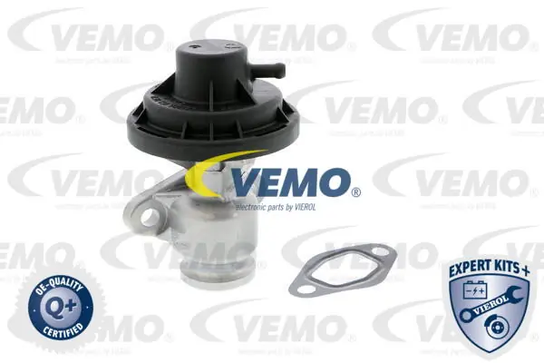 Valve, exhaust gas recirculation